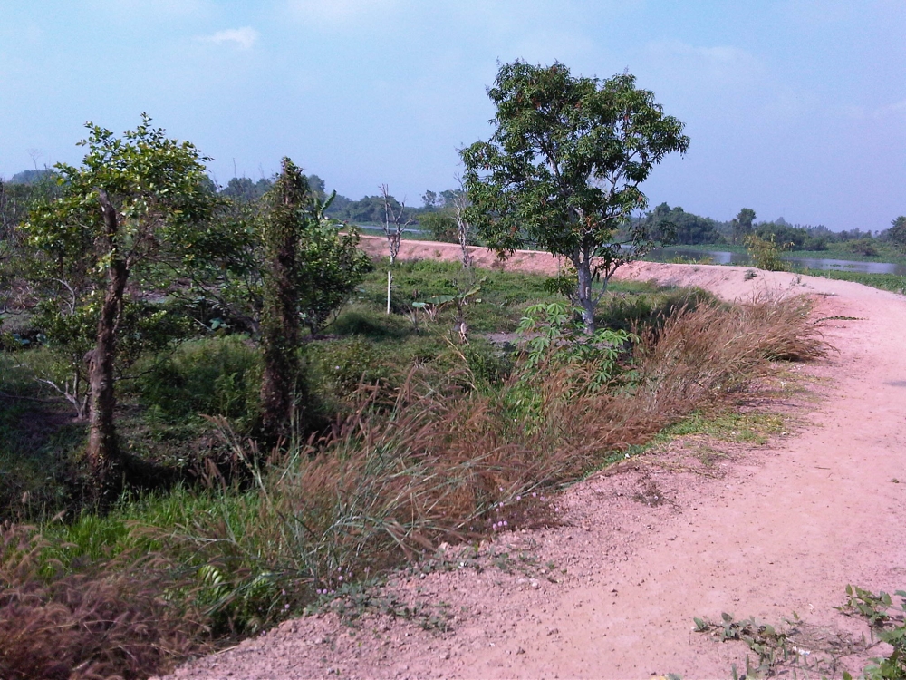 ban khu dat canh bo song gan khu dan cu chanh my tp thu dau mot