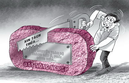 thu tuc tach thua hoac hop thua nha dat